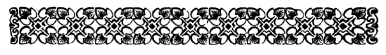 imagen (barra decorativa) no est disponible