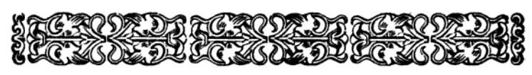 imagen (barra decorativa) no est disponible