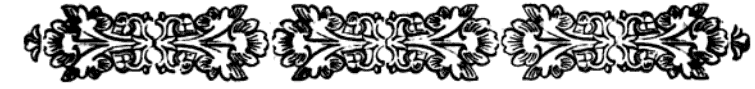 imagen (barra decorativa) no est disponible