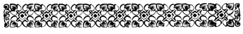 imagen (barra decorativa) no est disponible
