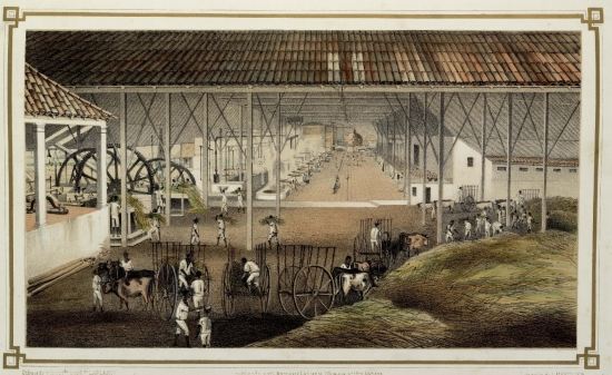 Dibujado y litogrdo por Edo LAPLANTE

publicado por L. Marquier y Laplante Obra-pia n 121-1/2 Habana.

Litografa de L. MARQUIER.

INGENIO EL PROGRESO

Propiedad de Sor. MARQUES DE ARCOS.
