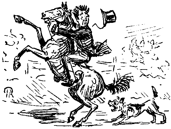 The Riding Class.