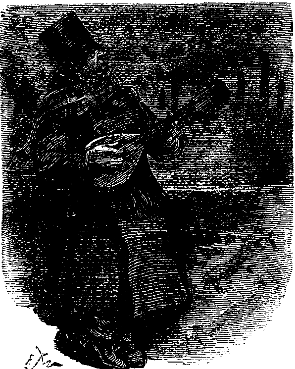 A mandolinist.