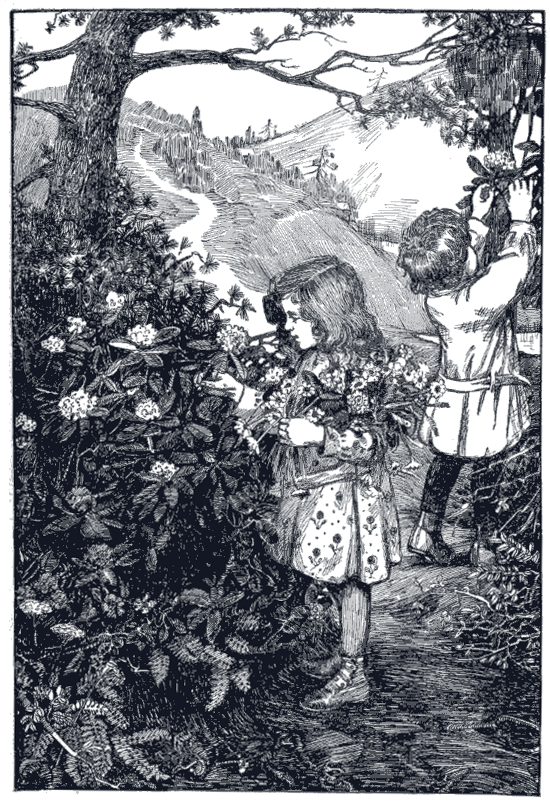 “The flowers Milly gathered for her mother”