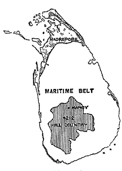 Ceylon is pear shaped