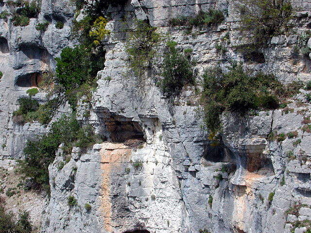 File:Nid d'Aigle.JPG