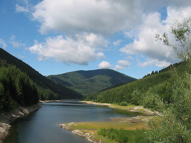File:Smrk a rameno Šance 1.jpg