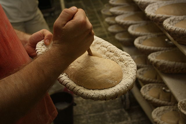 File:Výroba chleba (29).JPG