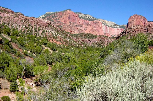 File:Taylor Creek with Horse Ranch Mountain in background.jpeg