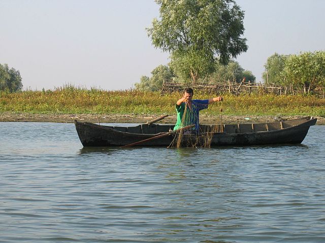 File:DanubedeltaSulinaarm2.jpg