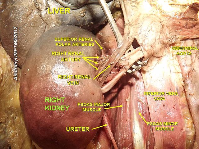 File:Slide3ppp.JPG