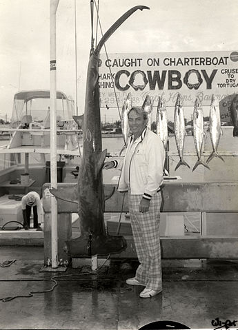 File:Sphyrna mokarran fishing.jpg