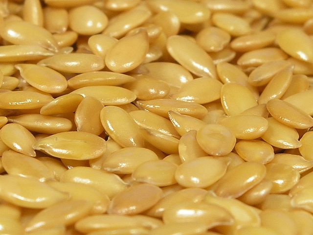 File:Flax seeds.jpg