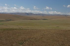 Pastizales Afromontane de la Meseta Nyika