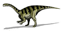 Lateral vista de dibujo del animal; que se representa como un bípedo con agarrar las manos con las palmas hacia medial. La cola se mantiene alta, como es el cuello.