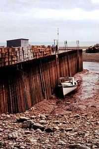 Bahía de Fundy Baja Tide.jpg