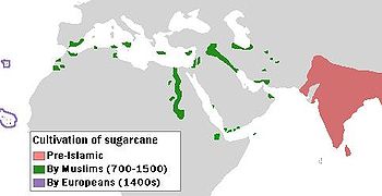 Carte montrant la canne à sucre de l'Inde est le premier pays de la canne à sucre, suivie par de petites zones en Afrique, et les plus petites régions en Europe