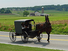 Une famille Amish dans un buggy carré cheval passe une ferme, grange et grenier; plus de fermes et de forêts dans la distance.