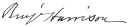 Cursive signature à l'encre
