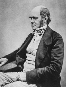 Trois trimestre studio photo de la longueur montrant front large caractéristique de Darwin et sourcils broussailleux, les yeux fixés profondes, le nez et la bouche de roquet fixés dans un regard déterminé. Il est chauve sur le dessus, avec des cheveux noirs et les moustaches longues secondaires, mais pas de barbe ou de moustache. Sa veste est sombre, avec des revers très larges, et ses pantalons sont un motif de vérification lumière. Sa chemise a un col cassé debout, et sa cravate est rentré dans son gilet qui est un motif à carreaux de légère amende.