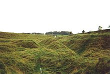 Ravines inégaux dans un champ herbeux