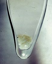 Section d'un flacon de verre montrant blanc brunâtre neige comme précipitation sur le fond.