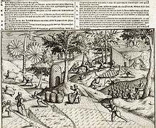 Gravure montrant marins hollandais travaillant sur l'île Maurice, ainsi que plusieurs animaux locaux, y compris un Dodo