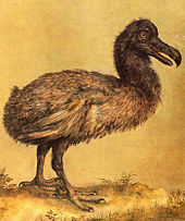 Peinture d'un mince, brun Dodo