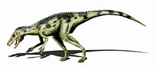 Légèrement construit reptile bipède