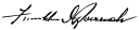 Cursive signature à l'encre
