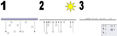 La salinité de irrigation.png