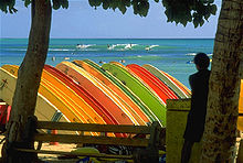 Photo de dizaines de planches de surf sur la grille. Chaque conseil est perpendiculaire au sol et parallèle aux autres conseils. Océan en arrière-plan.