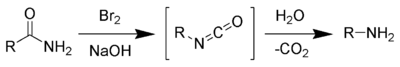 Le réarrangement Hofmann