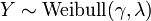 Y \ sim \ {operatorname Weibull} (\ gamma, \ lambda)