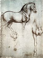 Une page avec deux dessins d'un cheval de bataille, l'un du côté, et l'autre montrant la poitrine et à la jambe droite.