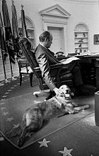 Um homem é mostrada por trás, sentado em uma cadeira de couro em uma mesa de madeira ornamentado no Salão Oval. Sua mão direita está a chegar ao chão para pet um grande golden retriever que coloca aos seus pés.