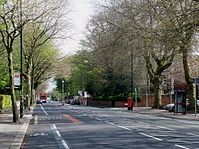Alta Chorlton Road em spring.jpg