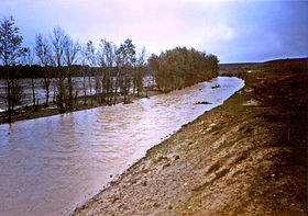 Rio Trabancos (fluindo) .jpg