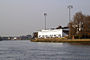 Raça de barco Craven Cottage.jpg