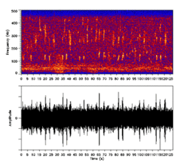 Duas imagens espectrais com eixo X sendo tempo. Em uma, o eixo dos Y é a frequência e existe um padrão complicado na região de 10-450 Hz. No outro, o eixo Y representa a amplitude, que é em grande parte constante, mas com muitos pequenos picos.