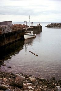 Bay of Fundy alta Tide.jpg