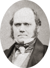 Foto do estúdio mostrando característicos grandes sobrancelhas testa e espessas de Darwin com olhos profundos, nariz e boca pug ajustados em um olhar determinado. Ele é careca na parte superior, com cabelos escuros e costeletas longas, mas sem barba ou bigode.