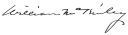 Cursive assinatura em tinta