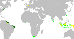 Um mapa do império colonial holandês. Luz verde: territórios administrados por ou provenientes de territórios administrados pela Companhia das Índias Orientais Holandesas; verde escuro: a Companhia Holandesa das Índias Ocidentais.