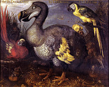 Pintura de um Dodo, com um papagaio vermelho no seu lado esquerdo, e uma azul em seu direito