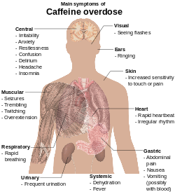 Torso de um homem jovem com texto sobreposto dos principais efeitos colaterais da cafeína overdose.