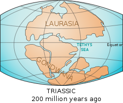 Laurásia-Gondwana.svg