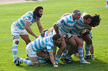 Virado para a direita um grupo de sete homens, em azul e branco hooped jersesy, unir e agachar-se para formar um scrum, o oitavo jogador fica atrás deles observando a oposição off-imagem.
