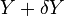 Y + \ delta Y