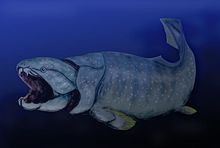 Desenho de animal com grande boca, cauda longa, muito pequenas barbatanas dorsais e nadadeiras peitorais que anexar para a parte inferior do corpo, assemelhando-se lagarto pernas em escala e desenvolvimento. [4]